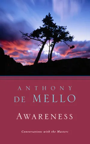 Awareness: The Perils and Opportunities of Reality cover